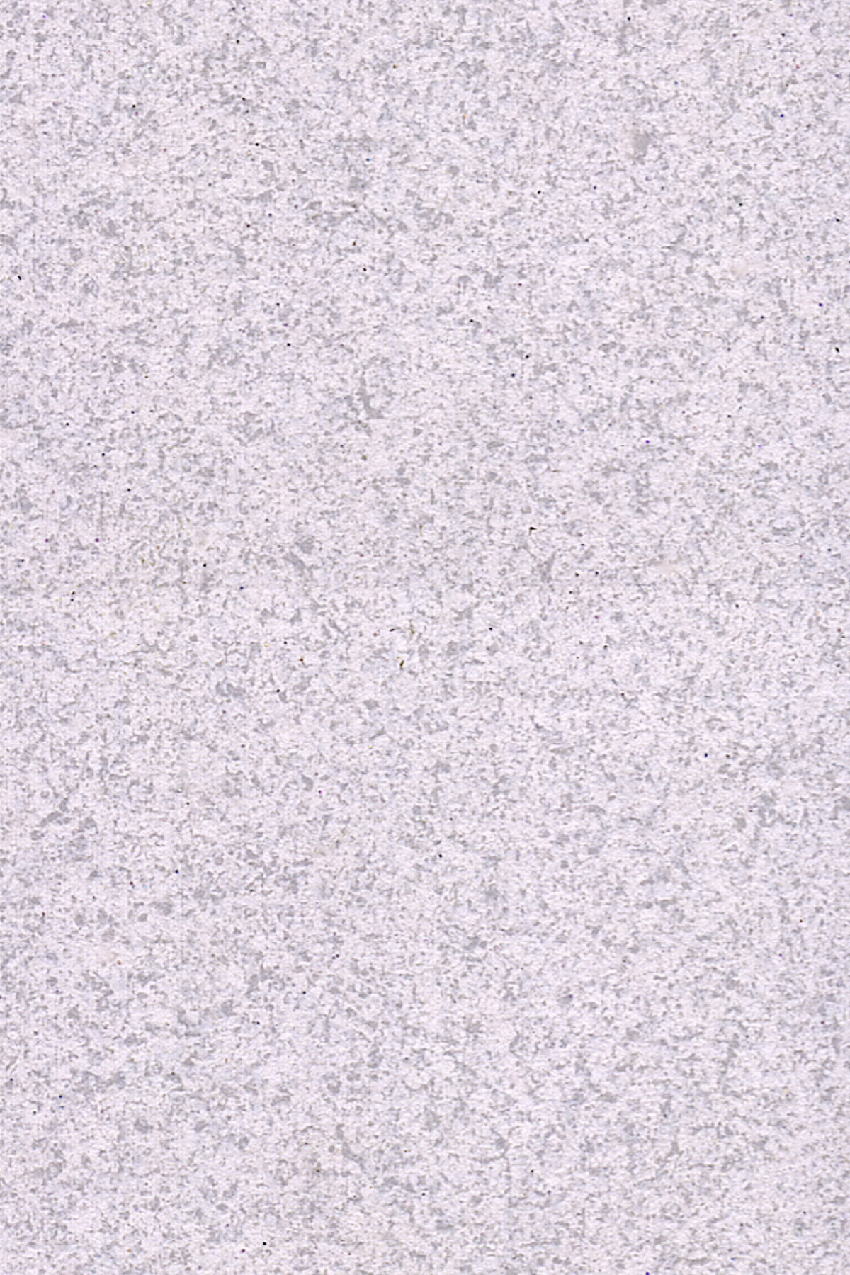 9008-2